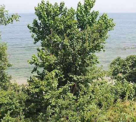 Seaside House With Splendid View In דירה טקירדג